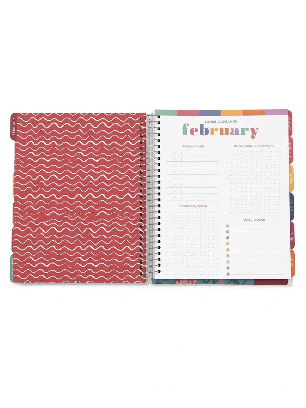 The Creative Expert Axolotl 17 Month Weekly Monthly Planner NEW